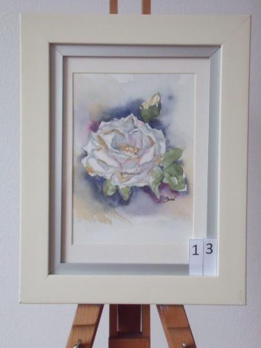 Roos 23x28cmaquarel