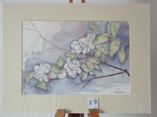 Jasmijn 40x30cmaquarel