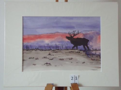 Hert, aquarel&inkt40x30cm