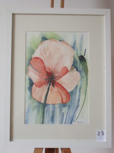 Klaproos 30x40cmaquarel