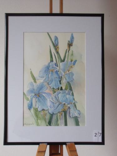 Irissen 30x40cmaquarel