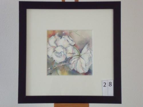 Rozen 25x25cmaquarel