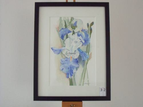 Irissen 30x40cmaquarel