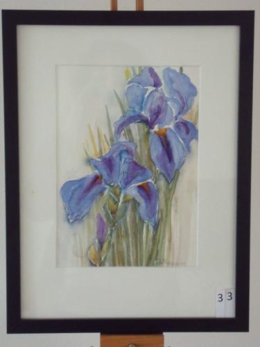 Irissen 30x40cmaquarel