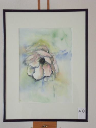 Anemoon 30x40cmaquarel