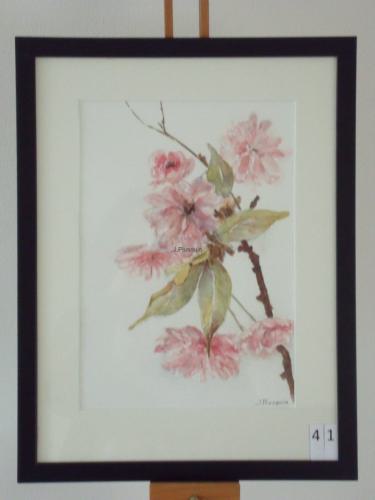 Kersenbloesem 30x40cmaquarel 
