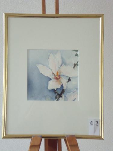 Magnolia 25x30cmaquarel