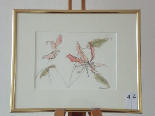 Kamperfoelie 30x25cmaquarel&inkt