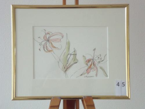 Kamperfoelie 30x25cmaquarel&inkt