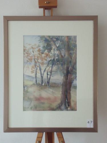Bomen, aquarel40x50cm
