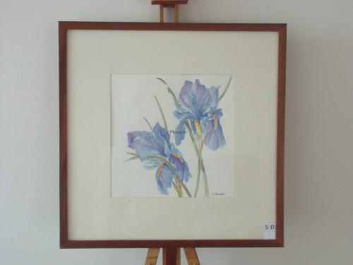 Irissen 50x50cmaquarel 