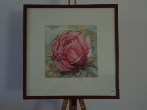 Roos 50x50cmaquarel