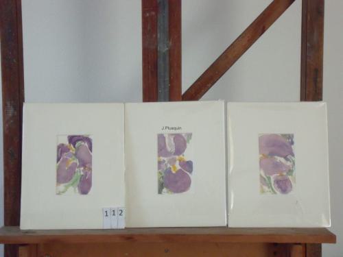Drieluik iris 18x24cmaquarel