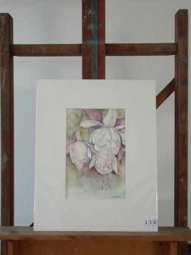 Fuchsia 40x50cmaquarel