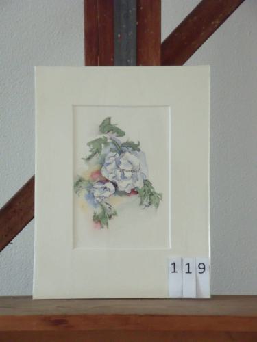 Bloem wit 18x24cmaquarel&inkt