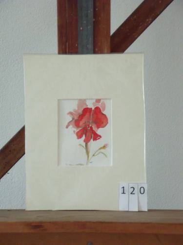 Bloem rood 18x24cmaquarel