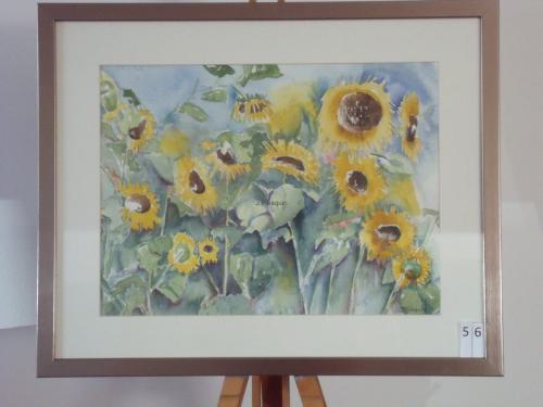 Zonnebloemen 50x40cmaquarel