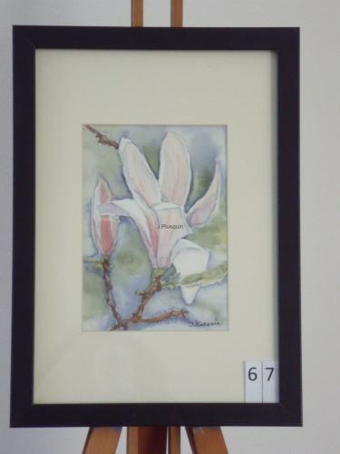 Magnolia 20x30cmaquarel