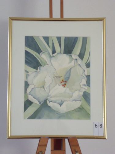 Tulp 30x35cmaquarel