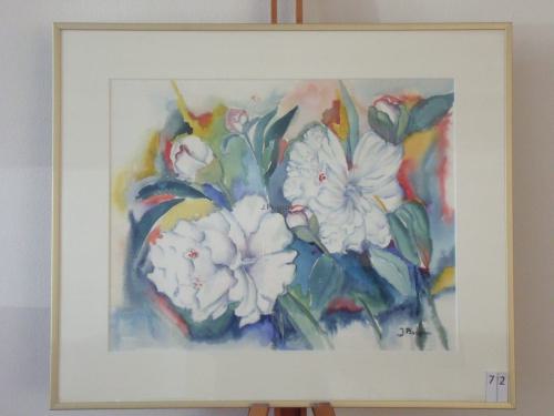 Pioenrozen 60x50cmaquarel