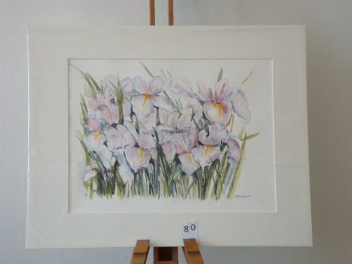 Irissen 50x40cmaquarel