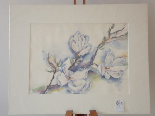 Magnolia 50x40cmaquarel