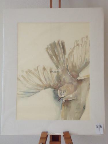 Vogel 40x50cmaquarel