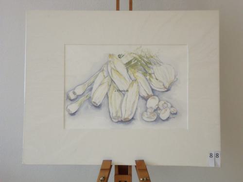 Witlof prei venkel 50x40cmaquarel